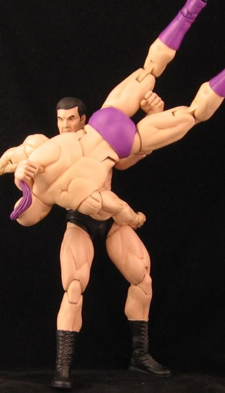 Illustration for article titled A Winner is These Custom NES Pro Wrestling Figures
